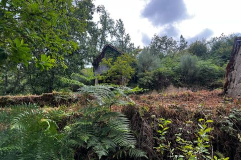 Farm i Amarante, Porto, Amarante - € 90.000 | Ref: 763 - foto 11
