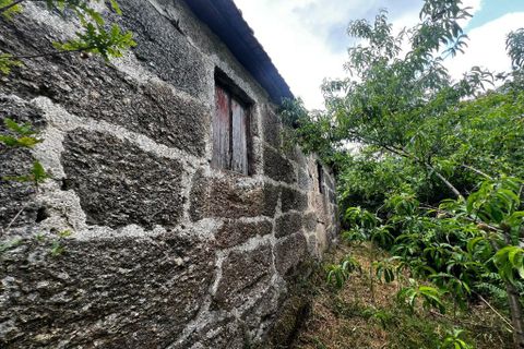 Farm i Amarante, Porto, Amarante - € 90.000 | Ref: 763 - foto 12