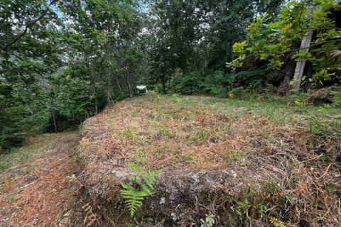 Farm i Amarante, Porto, Amarante - € 90.000 | Ref: 763 - foto 13