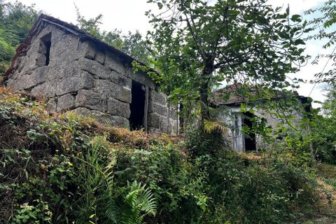 Farm i Amarante, Porto, Amarante - € 90.000 | Ref: 763 - foto 14