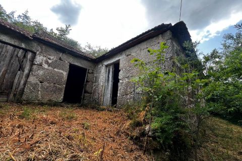Farm i Amarante, Porto, Amarante - € 90.000 | Ref: 763 - foto 15