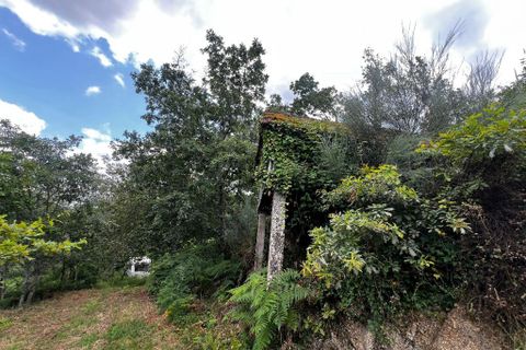 Farm i Amarante, Porto, Amarante - € 90.000 | Ref: 763 - foto 16