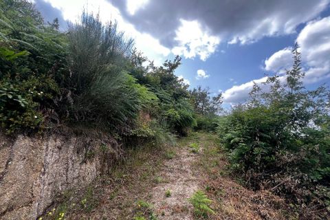 Farm i Amarante, Porto, Amarante - € 90.000 | Ref: 763 - foto 17
