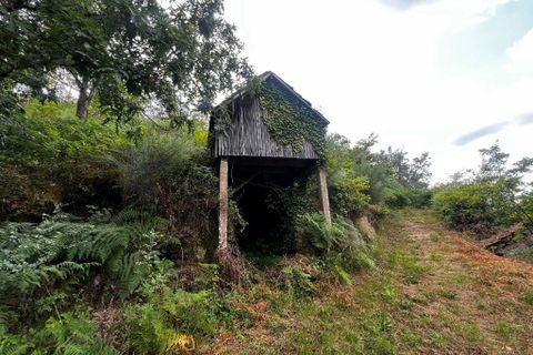 Farm i Amarante, Porto, Amarante - € 90.000 | Ref: 763 - foto 18
