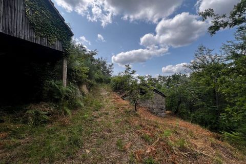 Farm i Amarante, Porto, Amarante - € 90.000 | Ref: 763 - foto 19