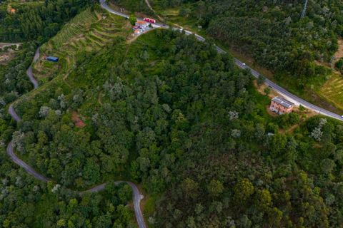 Farm i Amarante, Porto, Amarante - € 90.000 | Ref: 763 - foto 20