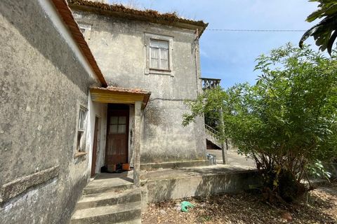 Villa a Murtosa, Aveiro, Murtosa - € 131.500 | Ref: 574 - foto 22