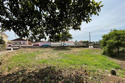 Villa a Murtosa, Aveiro, Murtosa - € 131.500 | Ref: 574 - foto 24