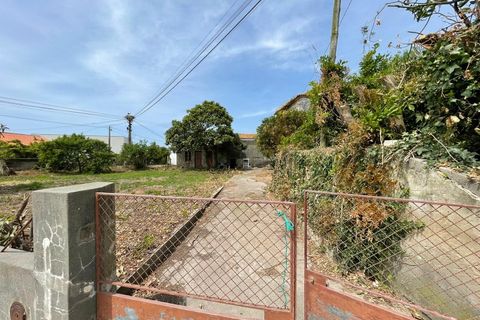 Villa a Murtosa, Aveiro, Murtosa - € 131.500 | Ref: 574 - foto 27