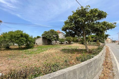 Villa a Murtosa, Aveiro, Murtosa - € 131.500 | Ref: 574 - foto 26