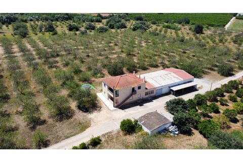 Villa i Tavira, Faro, Tavira - € 1.200.000 | Ref: SPMA0609-566 - foto 1