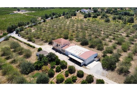 Villa i Tavira, Faro, Tavira - € 1.200.000 | Ref: SPMA0609-566 - foto 3
