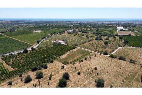 Villa i Tavira, Faro, Tavira - € 1.200.000 | Ref: SPMA0609-566 - foto 30