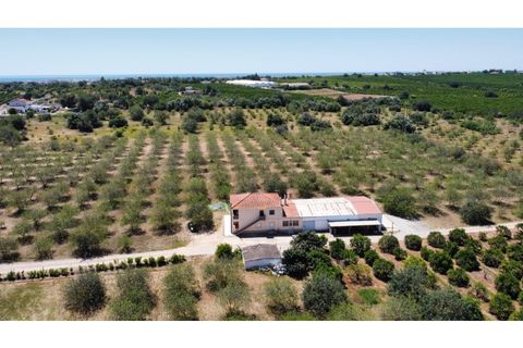 Villa i Tavira, Faro, Tavira - € 1.200.000 | Ref: SPMA0609-566 - foto 31