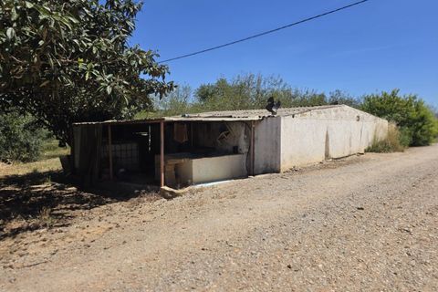Villa i Tavira, Faro, Tavira - € 1.200.000 | Ref: SPMA0609-566 - foto 33