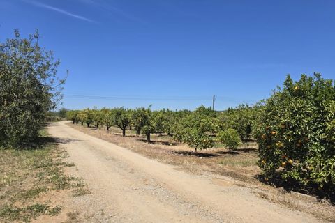 Villa i Tavira, Faro, Tavira - € 1.200.000 | Ref: SPMA0609-566 - foto 35