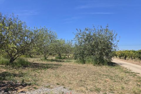 Villa i Tavira, Faro, Tavira - € 1.200.000 | Ref: SPMA0609-566 - foto 38