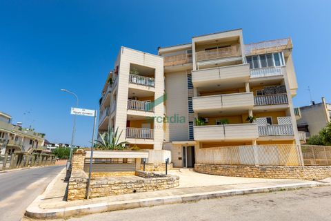 Leilighet i Bitetto, Bari, Bitetto - € 160 000 | Ref: 11958/2025 - foto 18