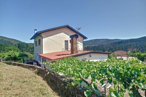 Villa i Viana do Castelo, Viana do Castelo, Viana do Castelo - € 299.000 | Ref: 1939 - foto 4