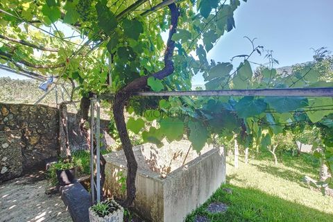 Villa i Viana do Castelo, Viana do Castelo, Viana do Castelo - € 299.000 | Ref: 1939 - foto 12