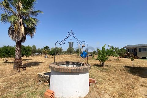 Farm i Moura, Beja, Moura - € 99.500 | Ref: 10430 - foto 2