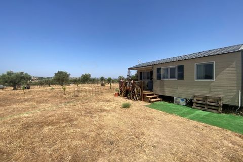 Farm i Moura, Beja, Moura - € 99.500 | Ref: 10430 - foto 6