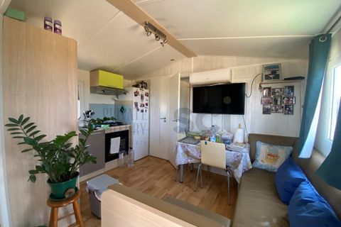 Farm i Moura, Beja, Moura - € 99.500 | Ref: 10430 - foto 8