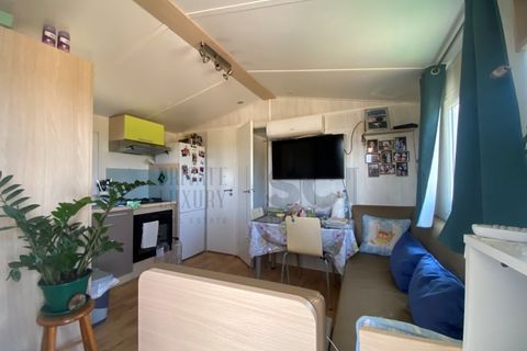 Farm i Moura, Beja, Moura - € 99.500 | Ref: 10430 - foto 10