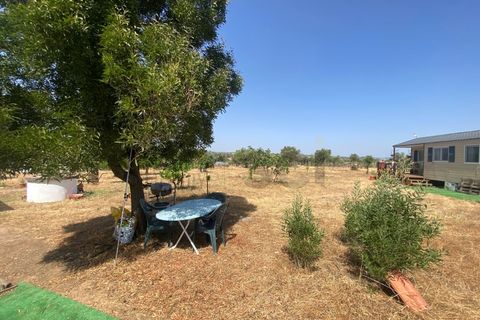 Farm i Moura, Beja, Moura - € 99.500 | Ref: 10430 - foto 12