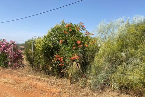 Farm i Moura, Beja, Moura - € 99.500 | Ref: 10430 - foto 14