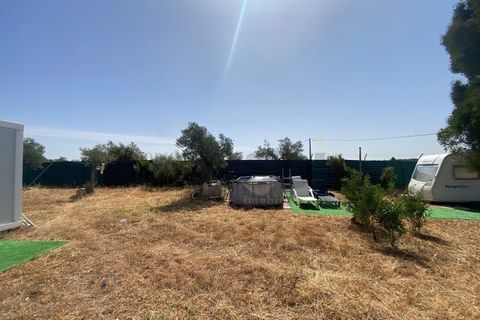 Farm i Moura, Beja, Moura - € 99.500 | Ref: 10430 - foto 15