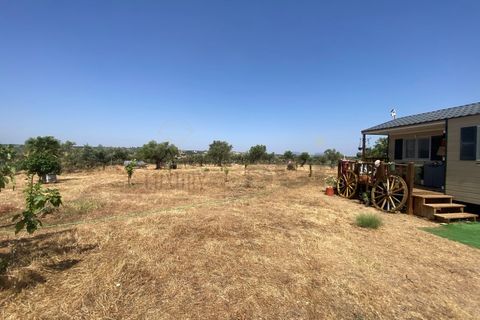 Farm i Moura, Beja, Moura - € 99.500 | Ref: 10430 - foto 16