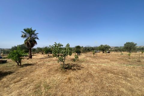 Farm i Moura, Beja, Moura - € 99.500 | Ref: 10430 - foto 17
