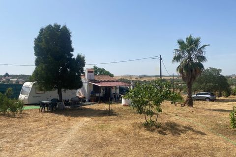 Farm i Moura, Beja, Moura - € 99.500 | Ref: 10430 - foto 19