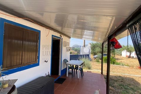Farm i Moura, Beja, Moura - € 99.500 | Ref: 10430 - foto 21
