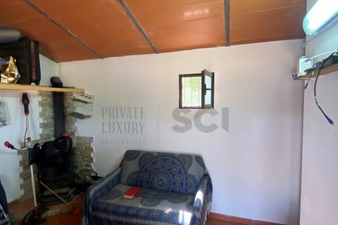 Farm i Moura, Beja, Moura - € 99.500 | Ref: 10430 - foto 23