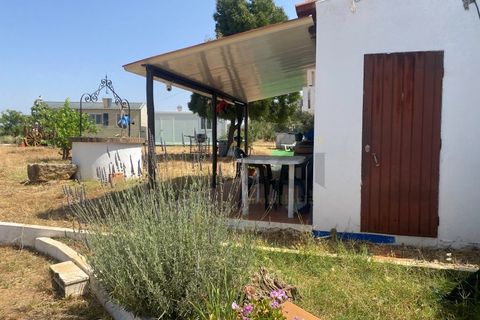 Farm i Moura, Beja, Moura - € 99.500 | Ref: 10430 - foto 26