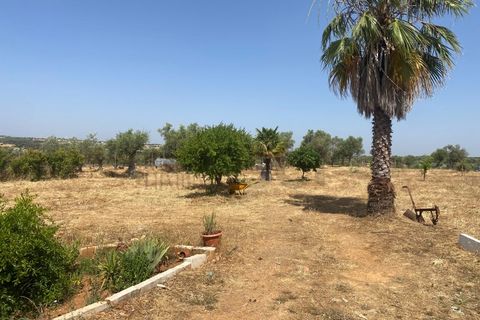 Farm i Moura, Beja, Moura - € 99.500 | Ref: 10430 - foto 27