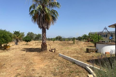 Farm i Moura, Beja, Moura - € 99.500 | Ref: 10430 - foto 28