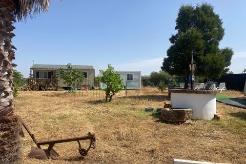 Farm i Moura, Beja, Moura - € 99.500 | Ref: 10430 - foto 29