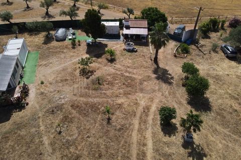 Farm i Moura, Beja, Moura - € 99.500 | Ref: 10430 - foto 32
