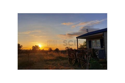 Farm i Moura, Beja, Moura - € 99.500 | Ref: 10430 - foto 36