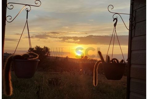Farm i Moura, Beja, Moura - € 99.500 | Ref: 10430 - foto 37