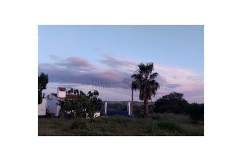 Farm i Moura, Beja, Moura - € 99.500 | Ref: 10430 - foto 38
