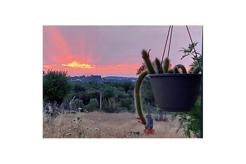 Farm i Moura, Beja, Moura - € 99.500 | Ref: 10430 - foto 39