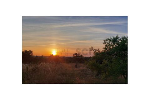 Farm i Moura, Beja, Moura - € 99.500 | Ref: 10430 - foto 40
