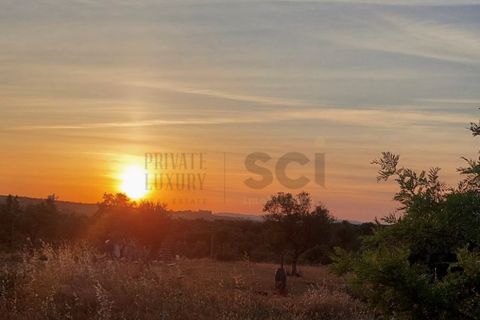 Farm i Moura, Beja, Moura - € 99.500 | Ref: 10430 - foto 41