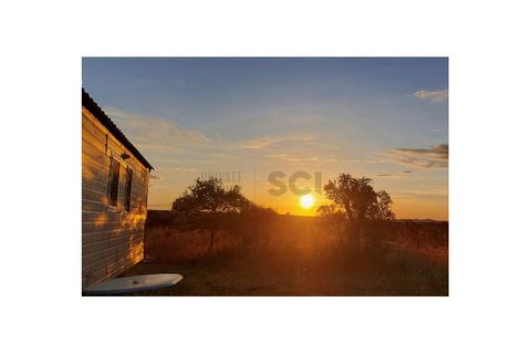 Farm i Moura, Beja, Moura - € 99.500 | Ref: 10430 - foto 42
