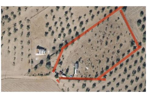 Farm i Moura, Beja, Moura - € 99.500 | Ref: 10430 - foto 43