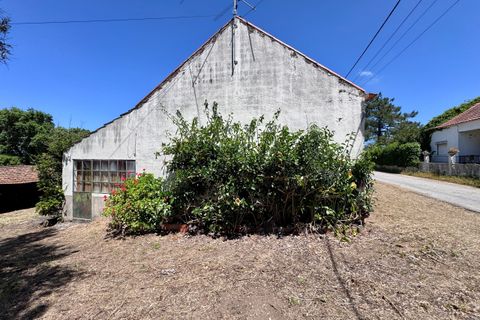 Villa i Tomar, Santarem, Tomar - € 130.000 | Ref: TL015 - foto 3